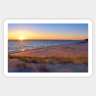 Sun-Kissed Sand Dunes Sticker